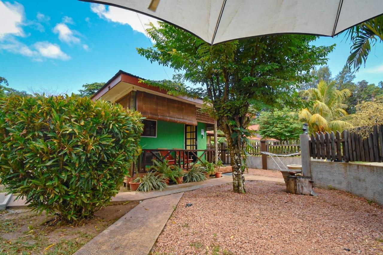 Fern Self Catering *