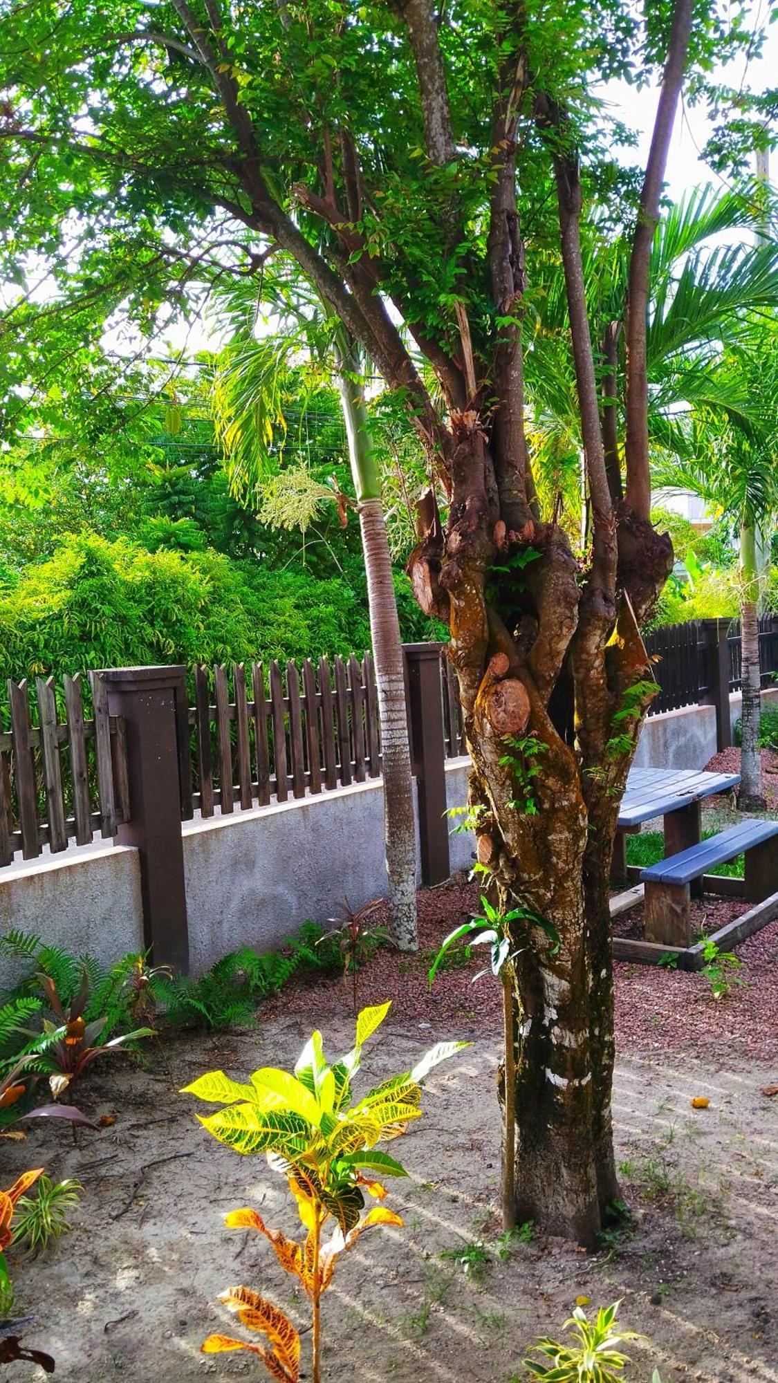 بيت للعطل Fern Self Catering *